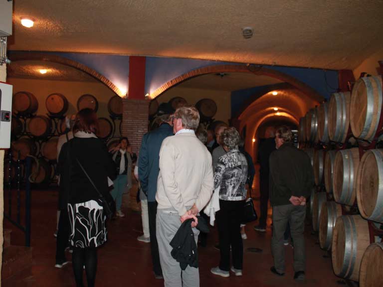 Visit to wine cellars